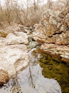 sonbahar ormanlarında çağlayan şelale, doğal dikey manzara