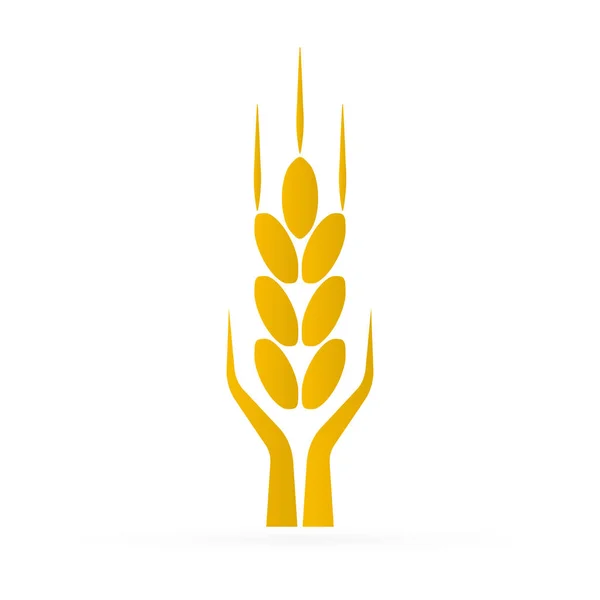 Kara Buğday Dikeni Tahıl Bitkisilueti Buğday Logosu Şablon Vektör Simgesi — Stok Vektör