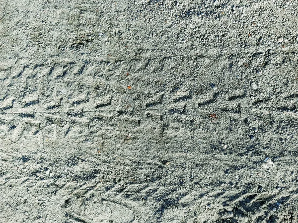 Cat Step Print Way Sand — Stock Photo, Image