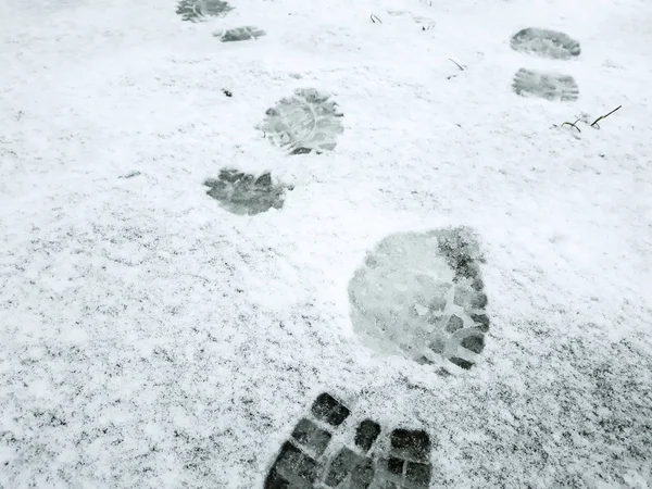 Spuren Von Menschen Schnee Schritte Fuß — Stockfoto