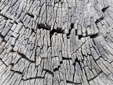 Eski ahşap doku, soyut ahşap doku, ahşap arka plan