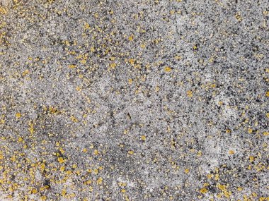 Arka plan alçı. Çimento duvar doku.