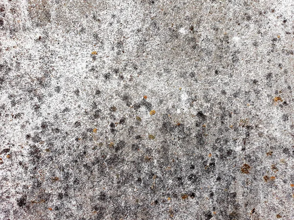 Putzhintergrund Textur Der Zementwand Mit Flechten — Stockfoto