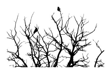 cadılar bayramı için siyah siluet, kargalar kışın veya sonbahar ormanlarında bir ağaç üzerinde oturan, kuru ağaçlar, doodle sryle, vektör illüstrasyon