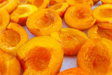 Kuru Kayısı kurutma hazırlanması, taze kayısı yakın çekim