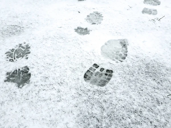 Spur Von Auto Und Menschen Schnee — Stockfoto