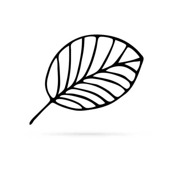 Линейный Лист Значок Логотип Символ Весны Лета Осени Векторная Иллюстрация — стоковый вектор