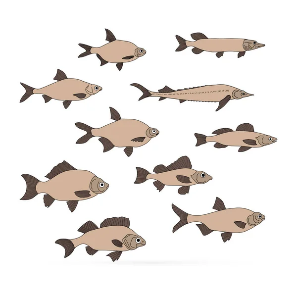 Doodle Fisch Symbol Isoliert Auf Weiß Meeresfrüchte Logo Zeichenkunst Von — Stockvektor
