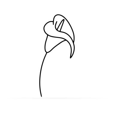 Doodle calla zambakları ikonu beyaza izole edilmiş. Çizim çiçeği. Sayfa boyama kitabı. El çizimi sanatı. Taslak vektör stok çizimi. EPS 10