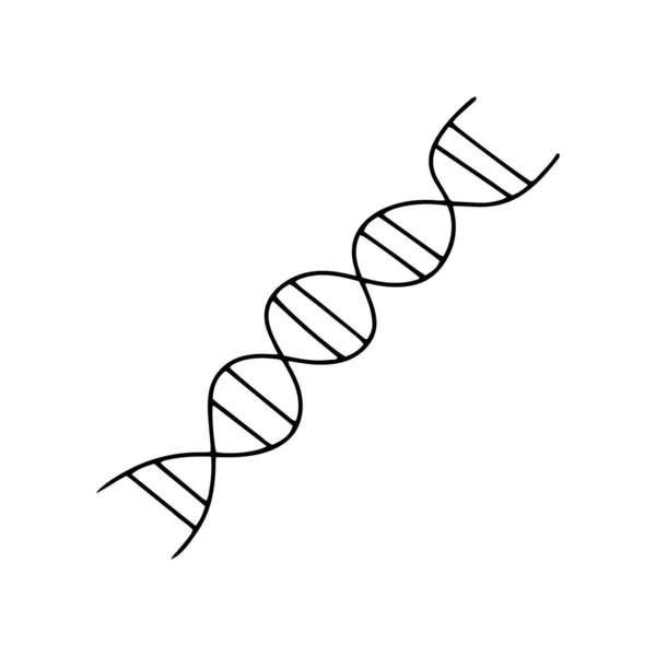 Doodle Dna Icon Isolated White Outline Genetic Sign Sketch Vector — Stock Vector