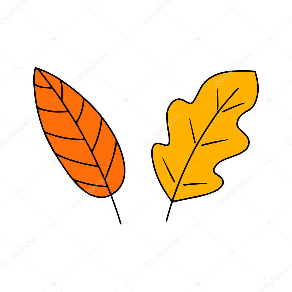 Doodle leaves set icon isolated on white. Outline leaf. Kids hand drawing art line.Autumn symbol. Sketch vector stock illustration. EPS 10
