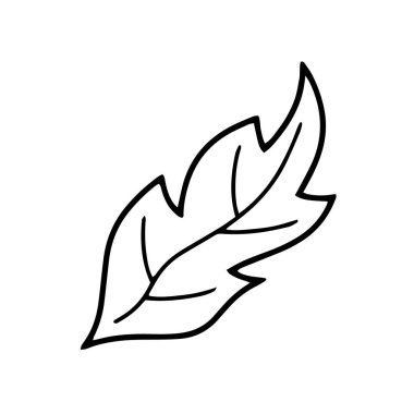 Taslak yaprak simgesi beyaza izole edildi. Doodle eko logosu. El çizimi çizimi. Yaprak demeti. Taslak vektör stok çizimi. EPS 10