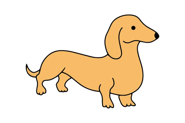 Doodle Dachshund Simgesi Beyaza Izole Edildi Çizimi Sanatı Eskiz Köpeği — Stok Vektör