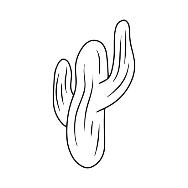 Doodle Cactus Icon Isolated White Outline Hand Drawing Flower Cartoon — Stock Vector