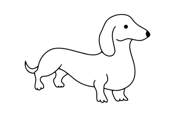 Doodle Dachshund Icon Isolated White Hand Drawing Line Art Sketch — Stock Vector