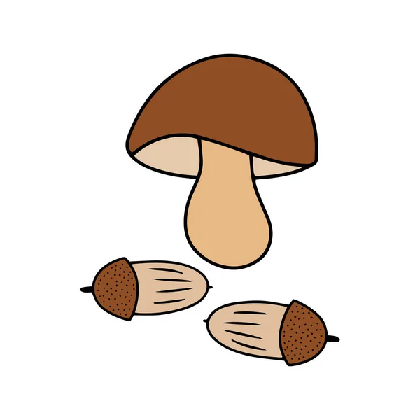 独角蘑菇和橡果图标孤立在白色 蔬菜健康食品 孩子们手绘线条艺术 素描矢量种群图解 Eps — 图库矢量图片