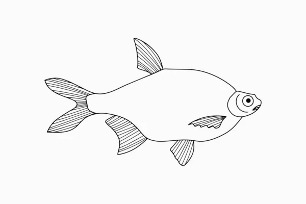 Umriss Unterwassertier Isoliert Auf Weiß Skizzieren Sie Handgezeichnete Kunstlinien Fische — Stockvektor