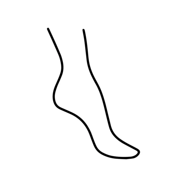 Дудл Женская Нога Изолирована Белом Ручной Рисунок Анатомия Набросков Контурная — стоковый вектор