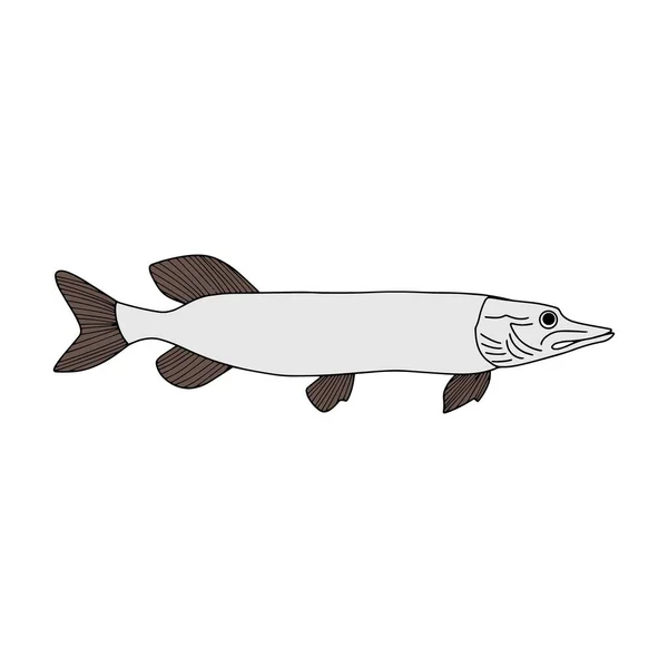魚のパイクアイコンを白で隔離します 魚介類ロゴ 手描きのアートライン ぬりえページブック スケッチベクターストックイラスト — ストックベクタ