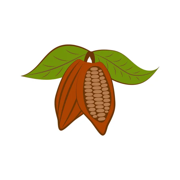 Doodle Icono Cacao Aislado Blanco Comida Chocolate Ilustración Stock Vectorial — Archivo Imágenes Vectoriales