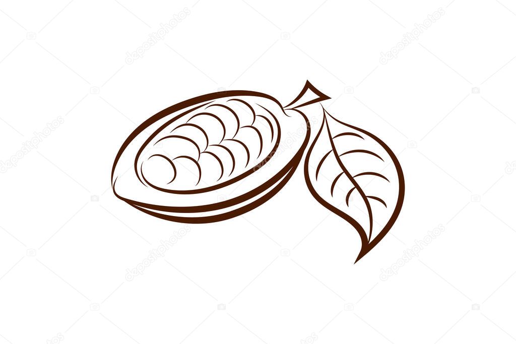 Doodle cocoa with leaf icon isolated on white. Hand drawing line art. Chocolate food. Sketch vector stock illustration. EPS 10