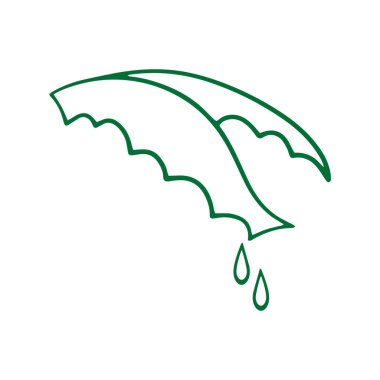 Beyaz üzerine damlalar ikonlu kara aloe vera. El çizimi sanatı. Çizim bitkisi. Taslak vektör stok çizimi. EPS 10