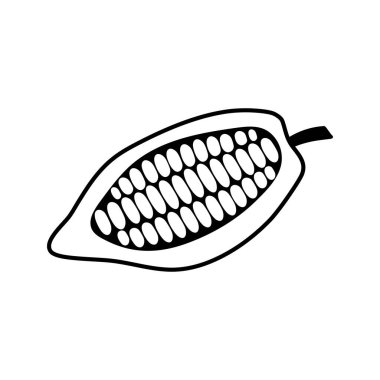 Kakao ikonu beyaza izole edilmiş. El çizimi sanatı. Çikolata yiyecekler. Taslak vektör stok çizimi. EPS 10