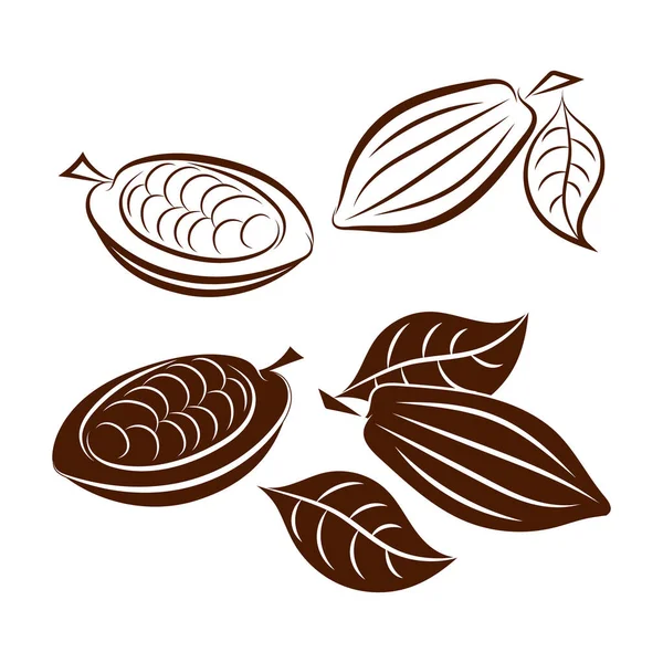 Doodle Κακάο Φύλλο Που Εικονίδιο Απομονώνονται Λευκό Σοκολατένιο Φαγητό Εικονογράφηση — Διανυσματικό Αρχείο