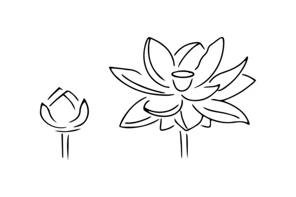 Květinová Lotosová Sada Ikon Izolovaných Bílém Ruční Kreslení Čáry Skica — Stockový vektor