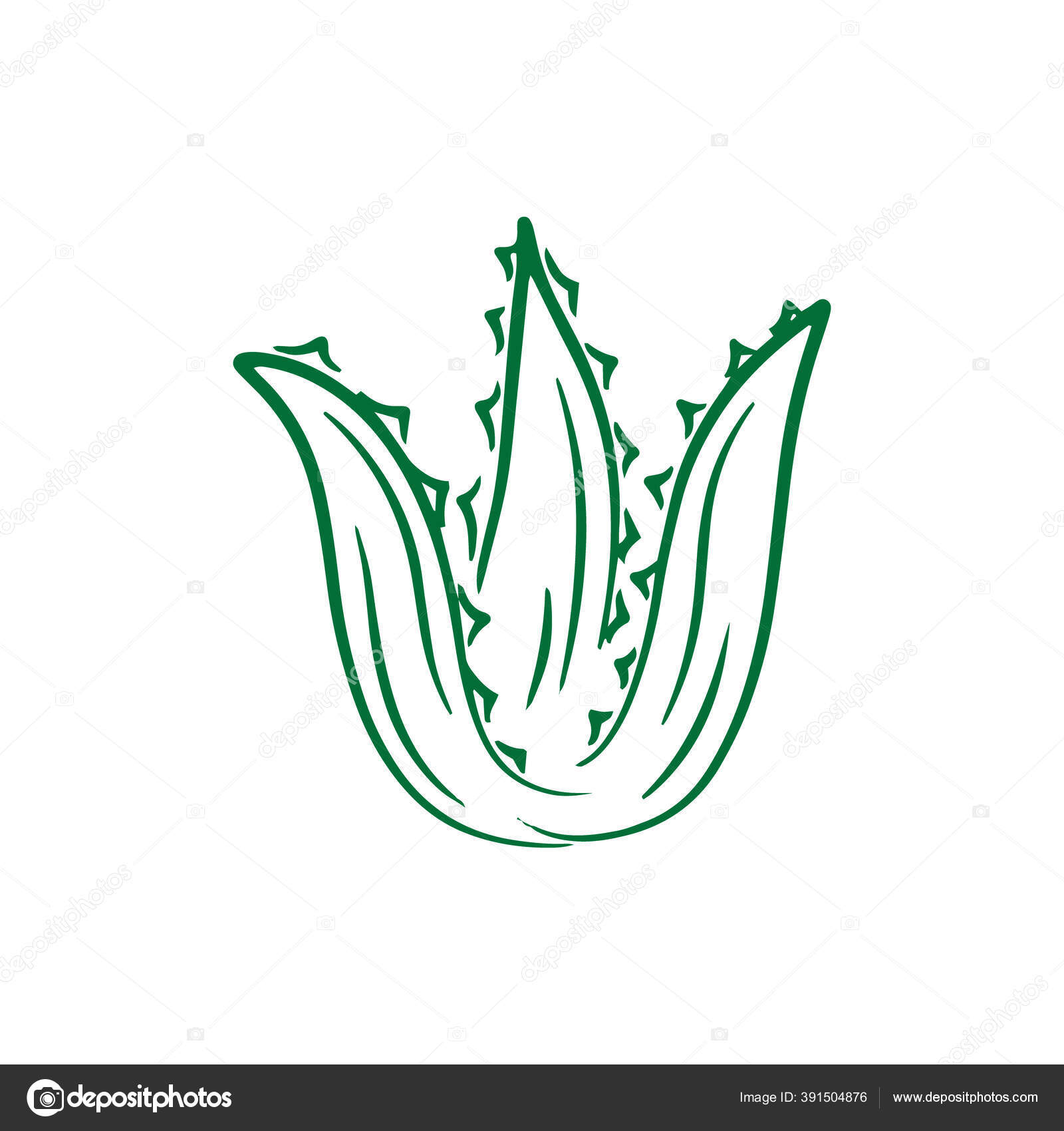 Featured image of post Aloe Vera Doodle This post may contain affiliate links and i earn a small commission from qualifying purchases