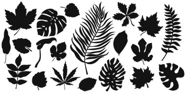 Doodle leaf set icons isolated on white. Stencil leaves. Vector stock illustration. EPS 10 clipart