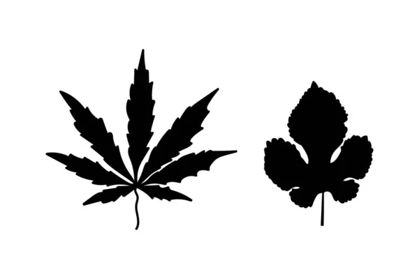 Doodle Leaf Set Icons Isolated White Stencil Leaves Cannavis Mulberry — Stock Vector