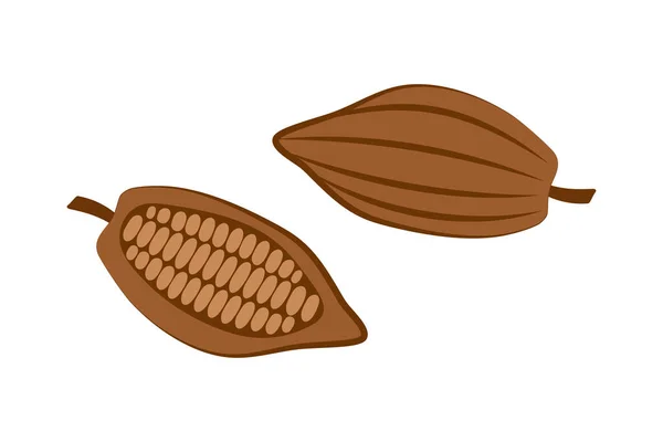 Doodle Cacao Set Icoon Geïsoleerd Wit Potlood Chocolade Eten Vector — Stockvector