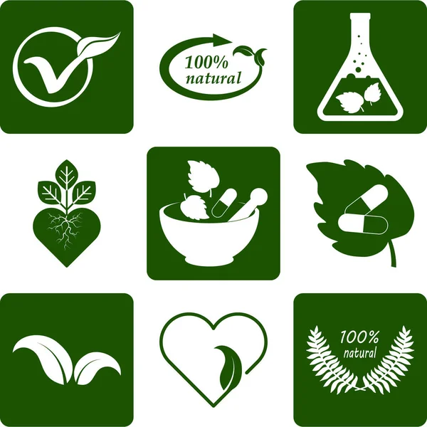 Ensemble Plantes Médicinales Icônes Pochoir Éco Symboles Illustration Vectorielle Spe — Image vectorielle