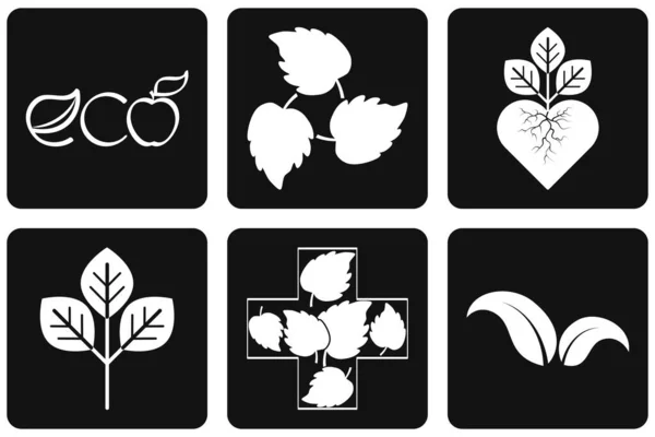 Medicina Herbal Establece Iconos Stencil Eco Símbolos Ilustración Stock Vectorial — Archivo Imágenes Vectoriales