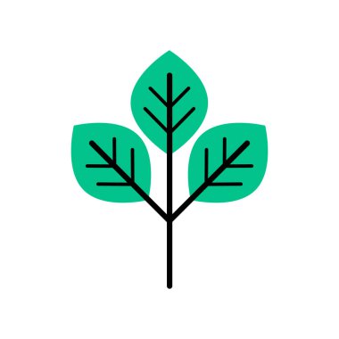 Karalama yaprağı ikonu. Taslak şube. El çizimi çizimi. Çevre sembolü. Taslak vektör stok çizimi. EPS 10