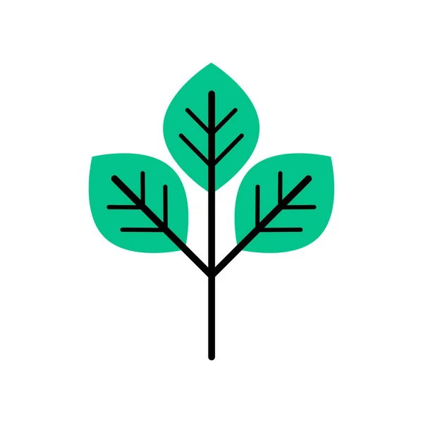 Icône Feuille Caniche Branche Contour Ligne Art Dessin Main Symbole — Image vectorielle