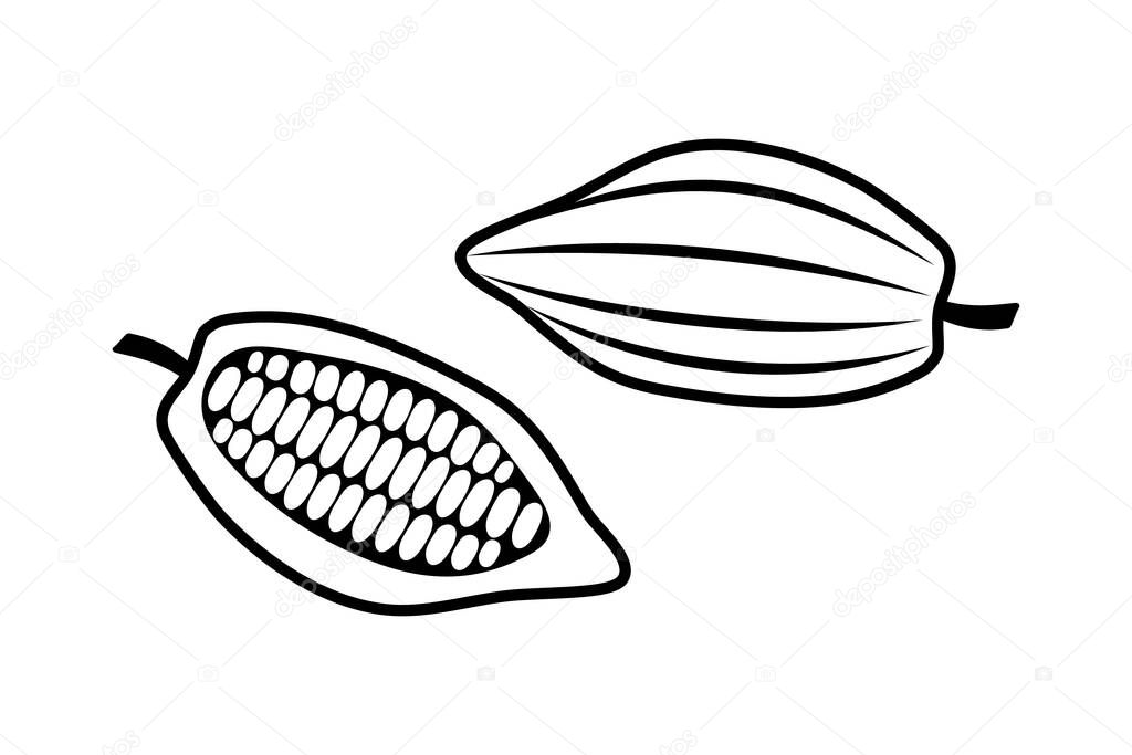 Doodle cocoa icon isolated on white. Hand drawing line art. Chocolate food. Sketch vector stock illustration. EPS 10