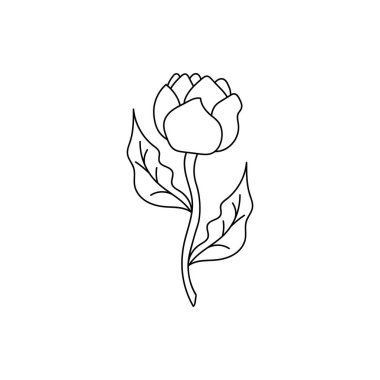 Sayfa boyama kitabı. Haşhaş, lale ya da yapraklı şakayık, çimen. El çizimi beyaz üzerine izole edilmiş çiçek. Taslak vektör stok çizimi. EPS 10