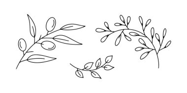 Karalama dalı, yaprak, beyaz üzerine izole edilmiş zeytin ikonu. Taslak vektör stok çizimi. EPS 10