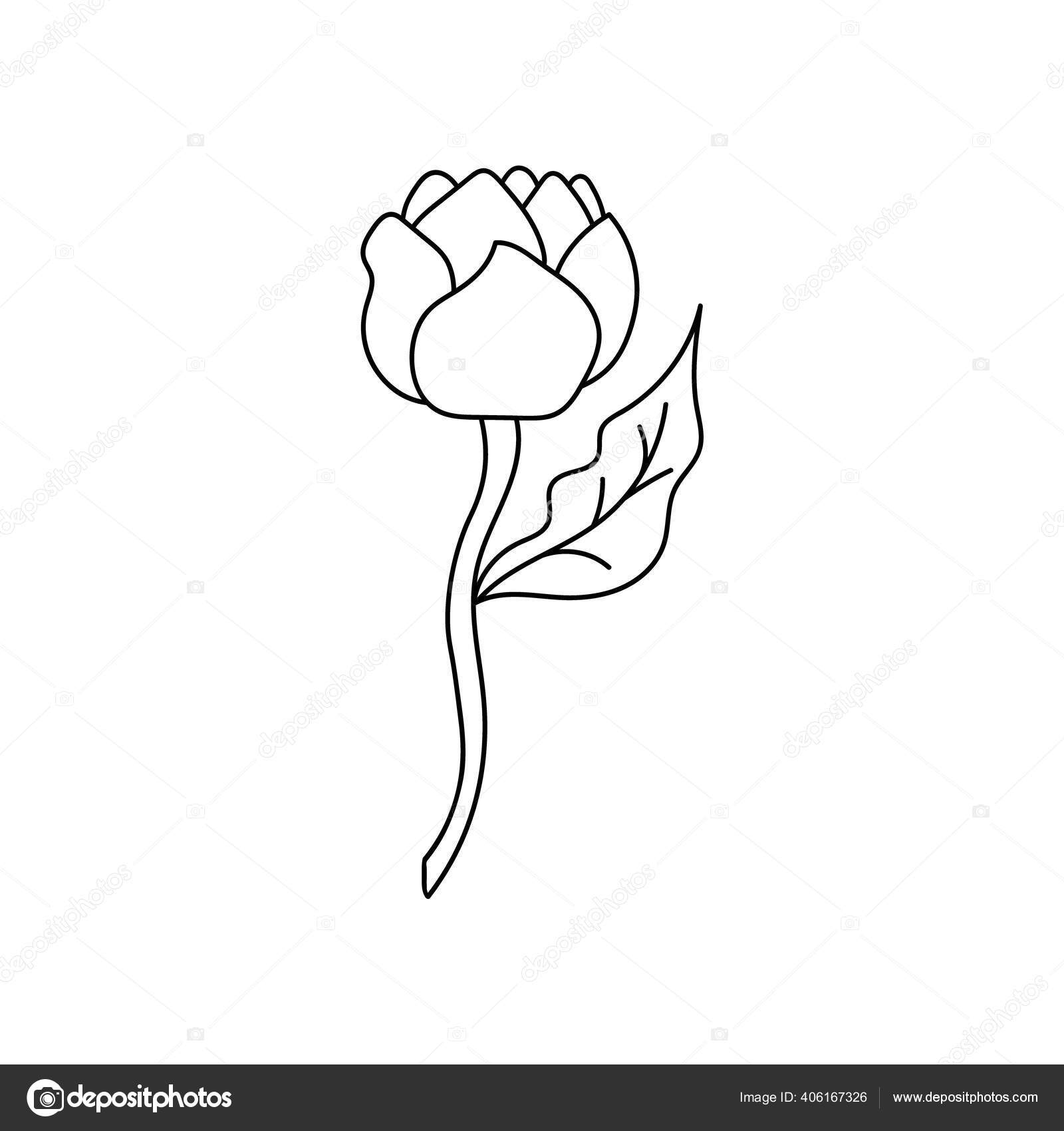 Mewarnai Gambar Bunga Tulip Hidup