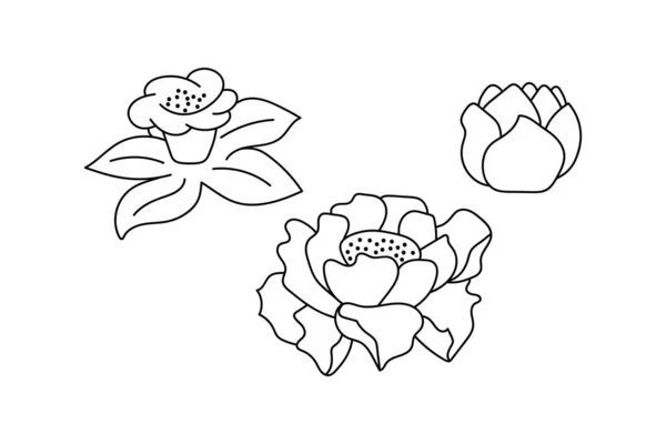 Doodle Färg Blomma Isolerad Vitt Bundle Hand Rita Konst Linje — Stock vektor