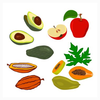 Avokado, papaya, kakao, beyaz üzerine izole edilmiş elma ikonu. Gıda yassı tasarım. Vektör hisse senedi çizimi. EPS 10