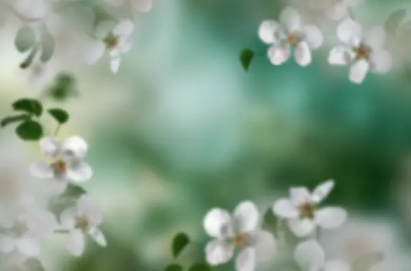 Elma çiçeği dalı, sanat, izole doğa, bahar, arkaplan, çiçek