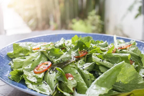 Piring Salad Segar Dengan Campuran Hijau — Stok Foto