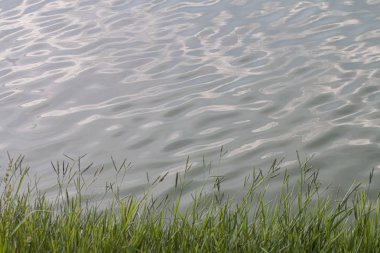 Su yüzeyi dalgalanmalar ve güneş ışığı yansımaları ile 