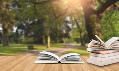 Park arka plan ahşap tahta açık kitap