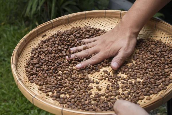 Male hand on coffee bean on basket — Stock Photo, Image