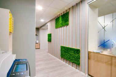 Rusya, Novosibirsk - 29 Kasım 2017: dekoratif moss iç dekorasyon için. Office stil, iç tasarım öğeleri