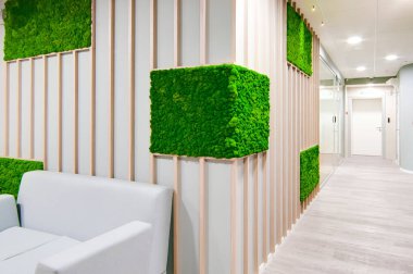 Rusya, Novosibirsk - 29 Kasım 2017: dekoratif moss iç dekorasyon için. Office stil, iç tasarım öğeleri